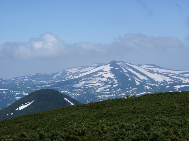33シャクナゲ岳と残雪の目国内岳.jpg